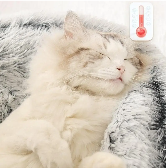 Warm Soft Cat Bed