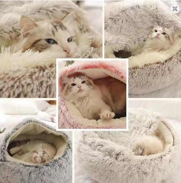 Cat Soft Bed